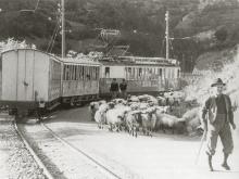 chronik-histo-zug-schafe-1967